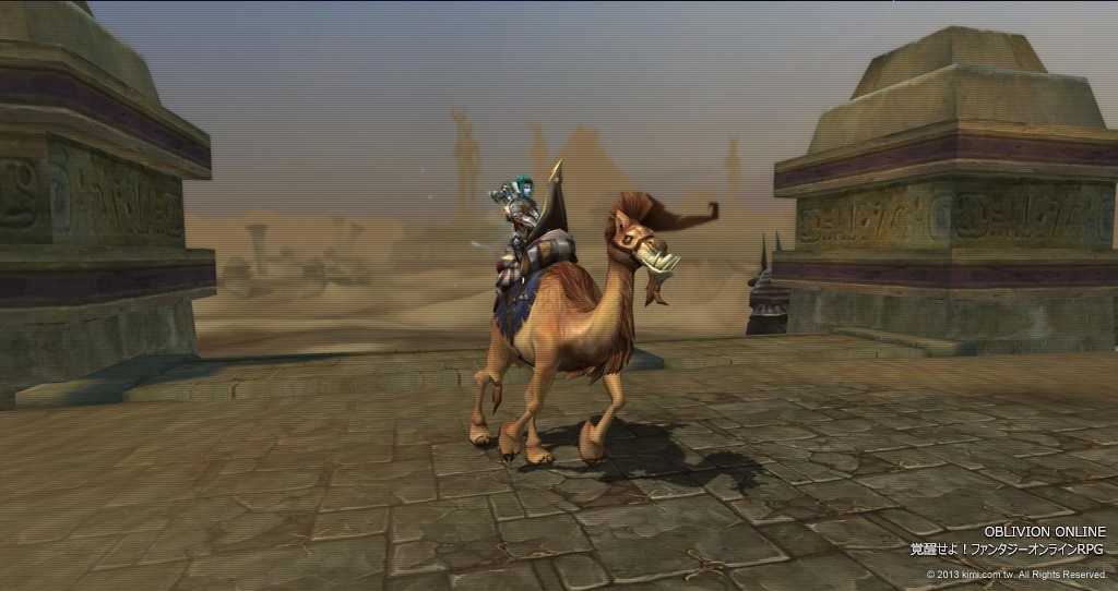 7 駱駝坐騎是沙漠中不可缺少的重要夥伴。